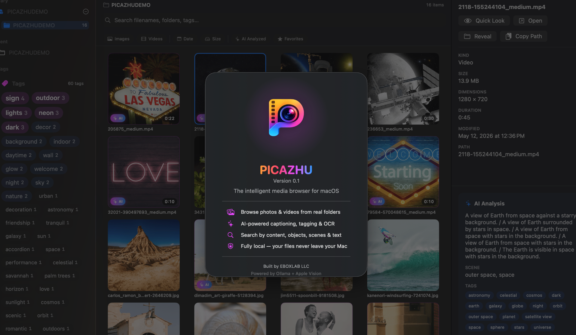 PICAZHU Quick Look preview overlay over the media grid with app version and key features