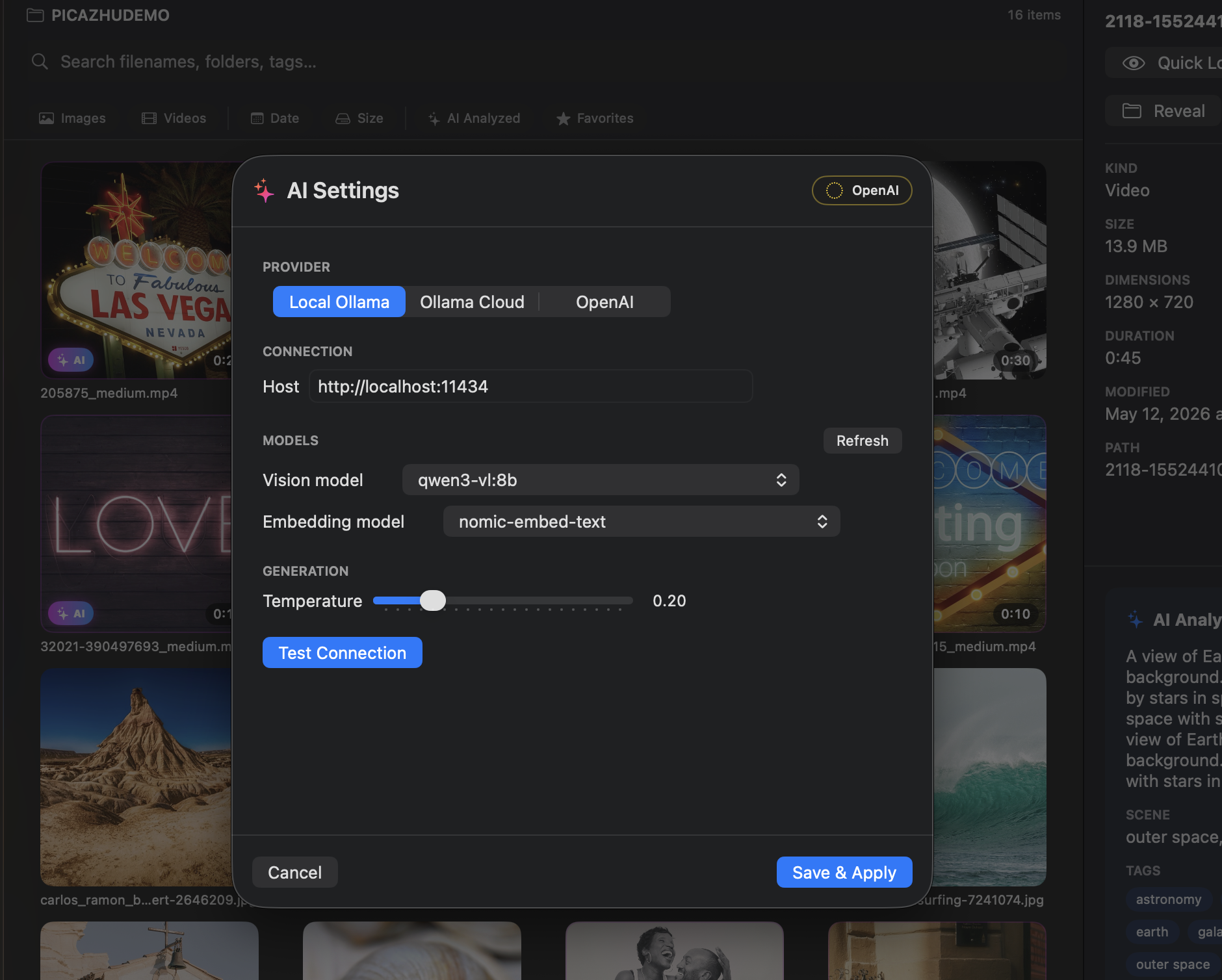 PICAZHU AI Settings dialog — switch between Local Ollama, Ollama Cloud, and OpenAI providers and pick vision and embedding models